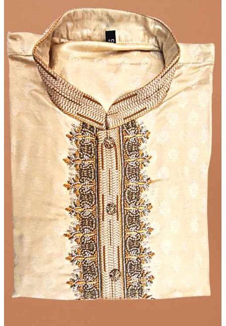 Beige Color Silk Punabi (She Punjabi 685)